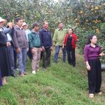 Hà Tĩnh tổ chức lớp tập huấn nâng cao năng lực cho Tổ khuyến nông cộng đồng