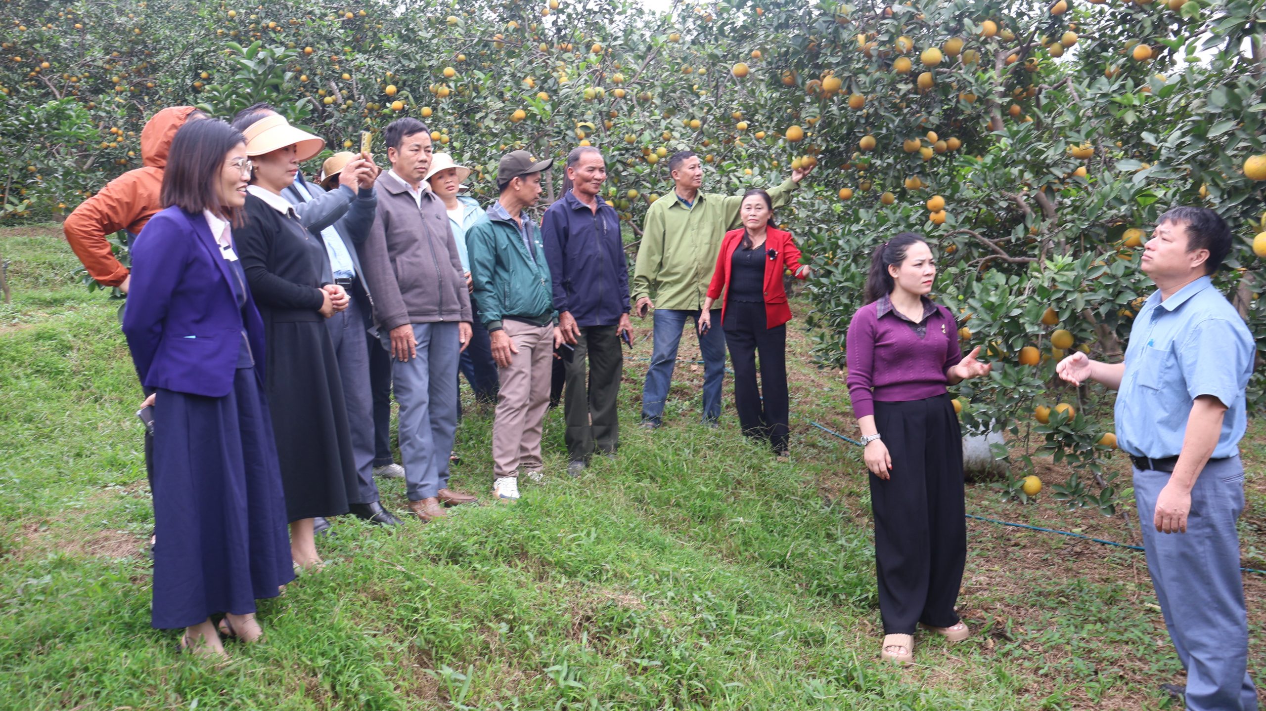 Hà Tĩnh tổ chức lớp tập huấn nâng cao năng lực cho Tổ khuyến nông cộng đồng