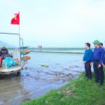 Hà Tĩnh đẩy mạnh sản xuất lúa giảm phát thải trong vụ Xuân 2026