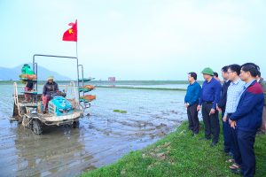 Hà Tĩnh đẩy mạnh sản xuất lúa giảm phát thải trong vụ Xuân 2026