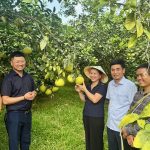 Hà Tĩnh ban hành Quy chế phối hợp công tác khuyến nông: Tăng liên kết, nâng hiệu quả phục vụ sản xuất