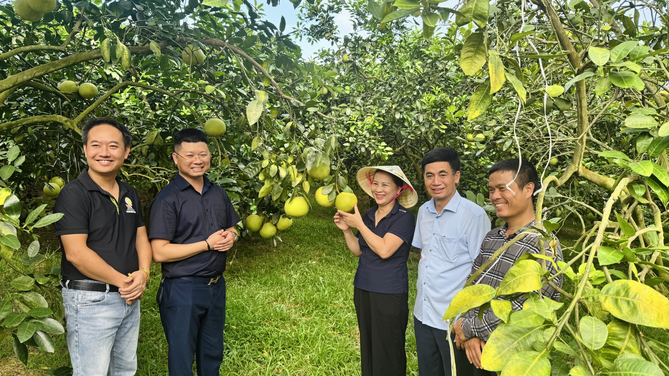 Hà Tĩnh ban hành Quy chế phối hợp công tác khuyến nông: Tăng liên kết, nâng hiệu quả phục vụ sản xuất