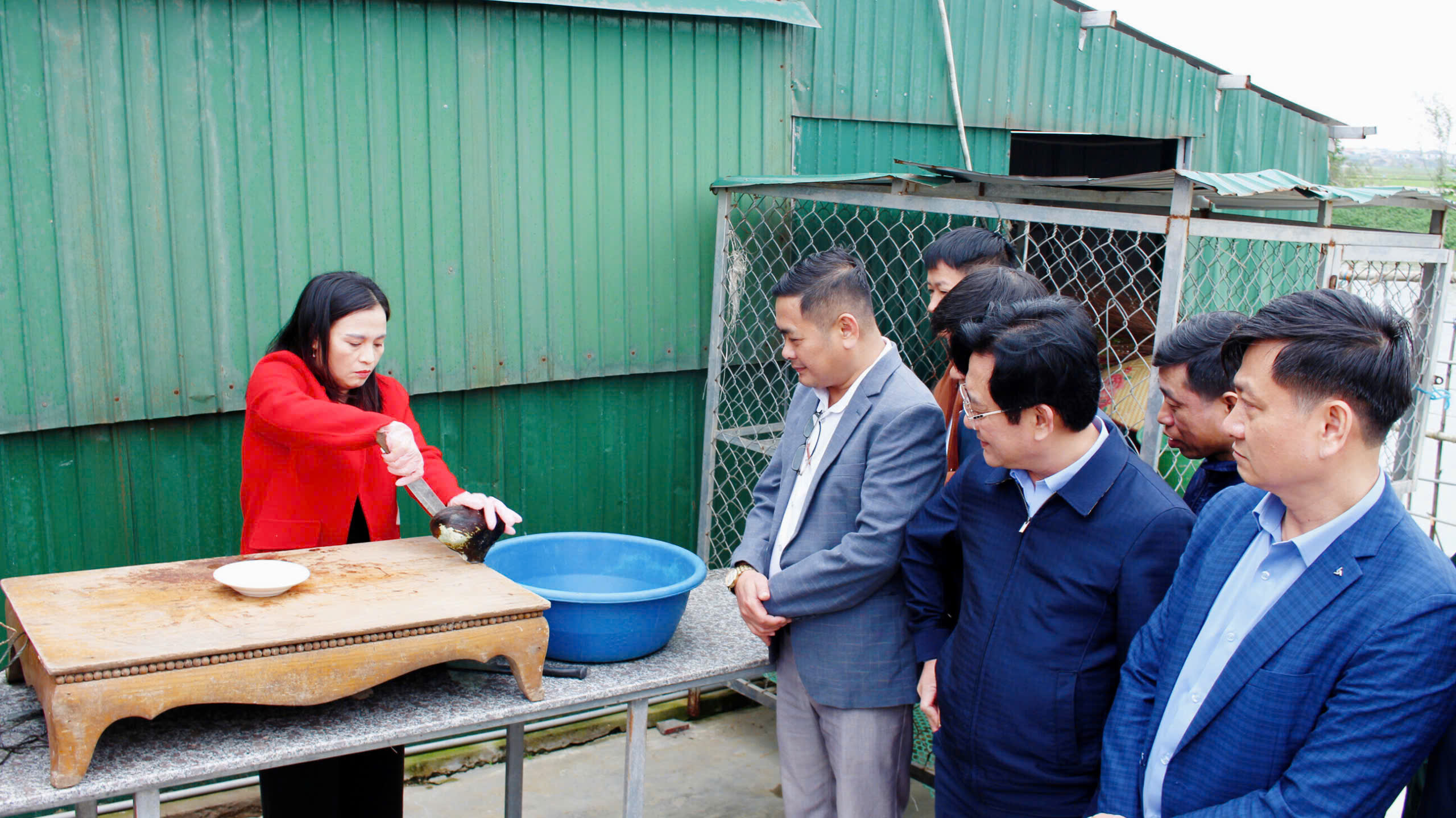 Mô hình nuôi trai nước ngọt lấy ngọc tại Hà Tĩnh: Mở hướng phát triển thủy sản giá trị cao