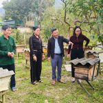 Nuôi ong lấy mật – hướng đi hiệu quả từ thực tiễn của ông Lê Mai Lâm ở xã Tứ Mỹ