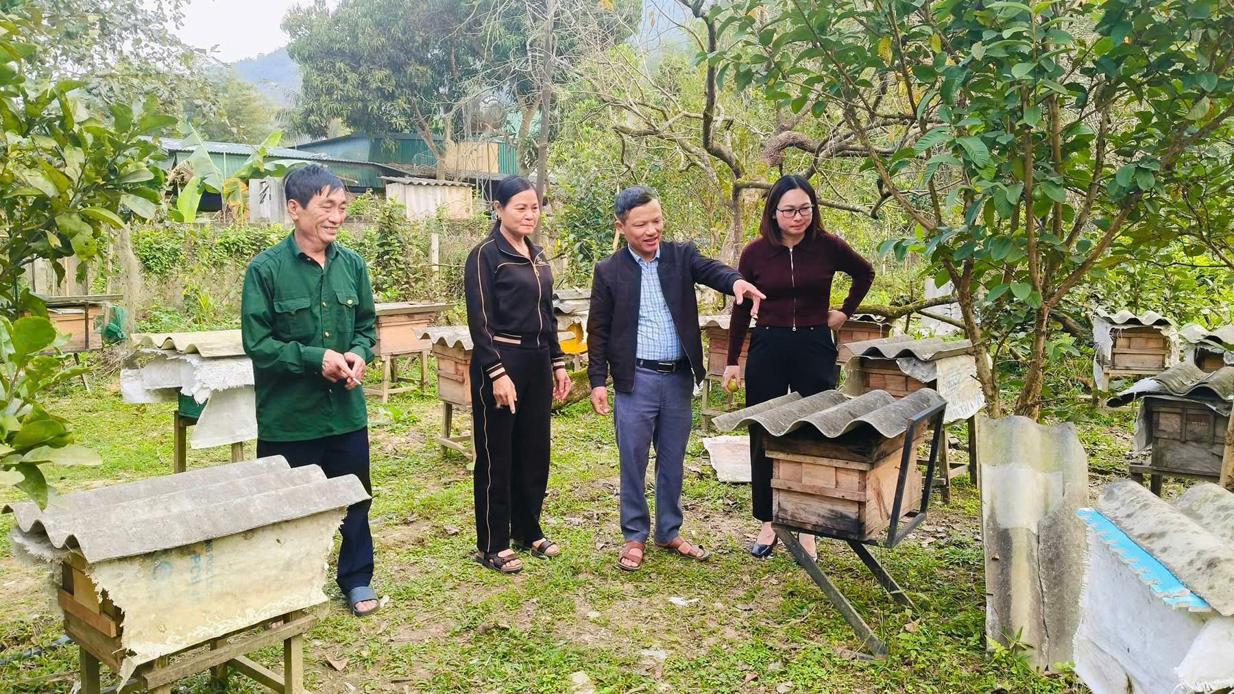 Nuôi ong lấy mật – hướng đi hiệu quả từ thực tiễn của ông Lê Mai Lâm ở xã Tứ Mỹ