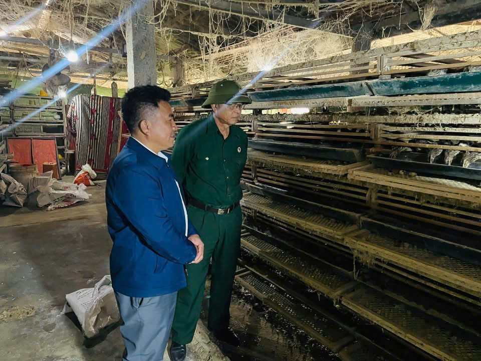 Hiệu quả từ mô hình nuôi chim cút của cựu quân nhân Trần Quốc Việt