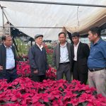 Khảo sát, học tập mô hình sản xuất liên kết và tiến bộ kỹ thuật thoe tư duy kinh tế nông nghiệp các đối tượng rau, hoa, cây cảnh, vật nuôi chất lượng cao tại các tỉnh phía Bắc