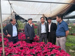 Khảo sát, học tập mô hình sản xuất liên kết và tiến bộ kỹ thuật thoe tư duy kinh tế nông nghiệp các đối tượng rau, hoa, cây cảnh, vật nuôi chất lượng cao tại các tỉnh phía Bắc