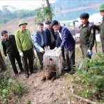 Xuân bình yên giữa đại ngàn Vũ Quang