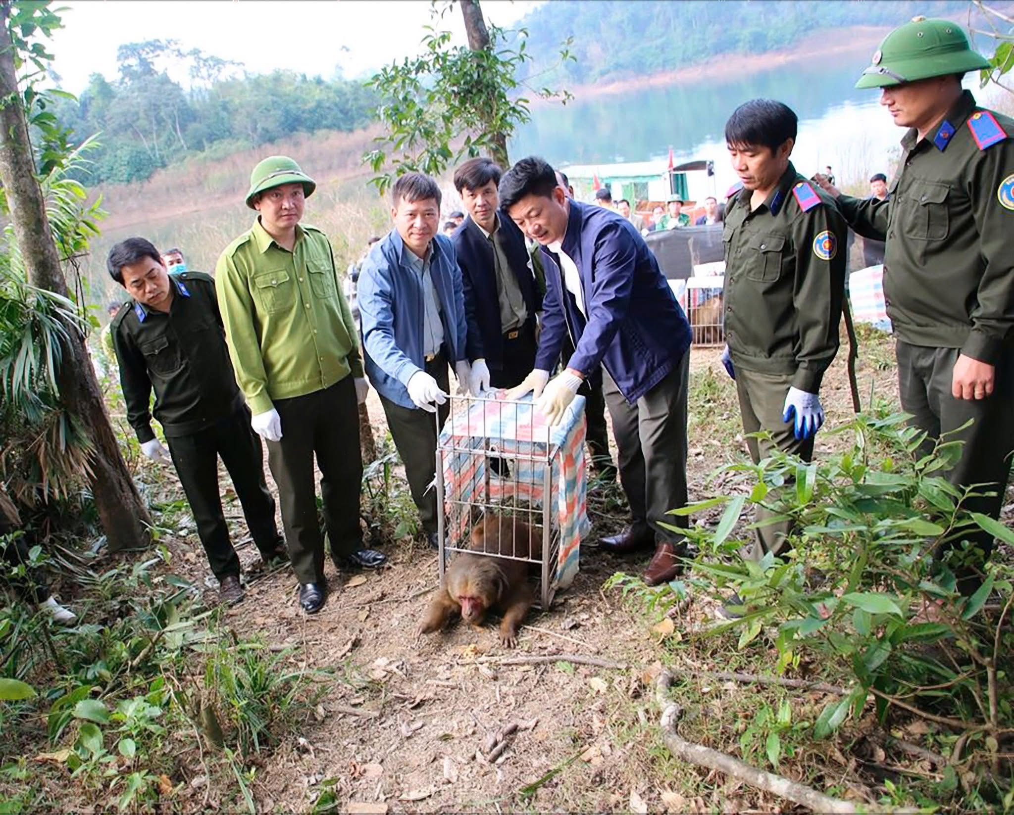 Xuân bình yên giữa đại ngàn Vũ Quang