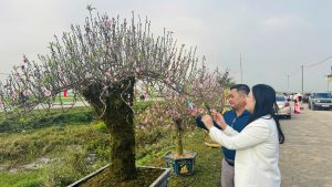 Khai mạc Hội chợ hoa, cây cảnh và sản phẩm nông nghiệp xã Toàn Lưu năm 2026