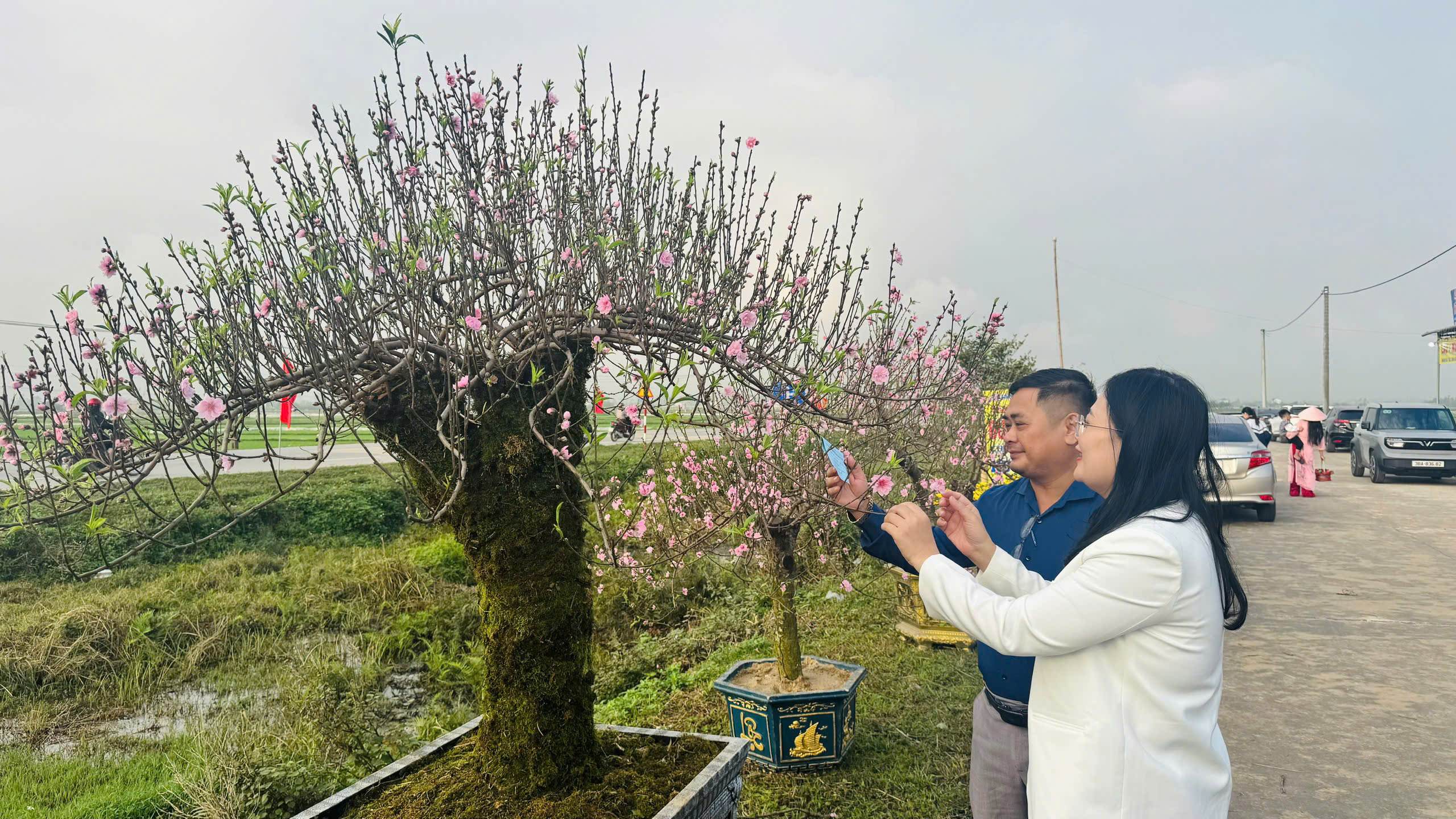 Khai mạc Hội chợ hoa, cây cảnh và sản phẩm nông nghiệp xã Toàn Lưu năm 2026