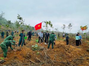 Ngành Nông nghiệp và Môi trường Hà Tĩnh hưởng ứng Tết trồng cây Xuân Bính Ngọ 2026
