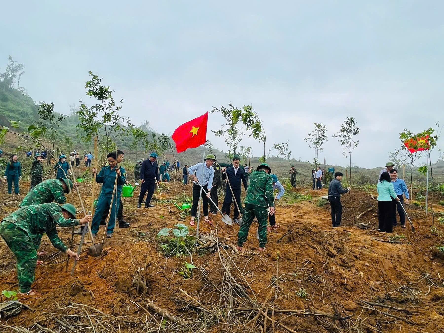 Ngành Nông nghiệp và Môi trường Hà Tĩnh hưởng ứng Tết trồng cây Xuân Bính Ngọ 2026