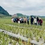 Khuyến nông Hà Tĩnh khảo sát, học tập mô hình nông nghiệp hiệu quả tại Ninh Bình