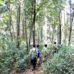 Hà Tĩnh chủ động triển khai đồng bộ các giải pháp phòng cháy, chữa cháy rừng