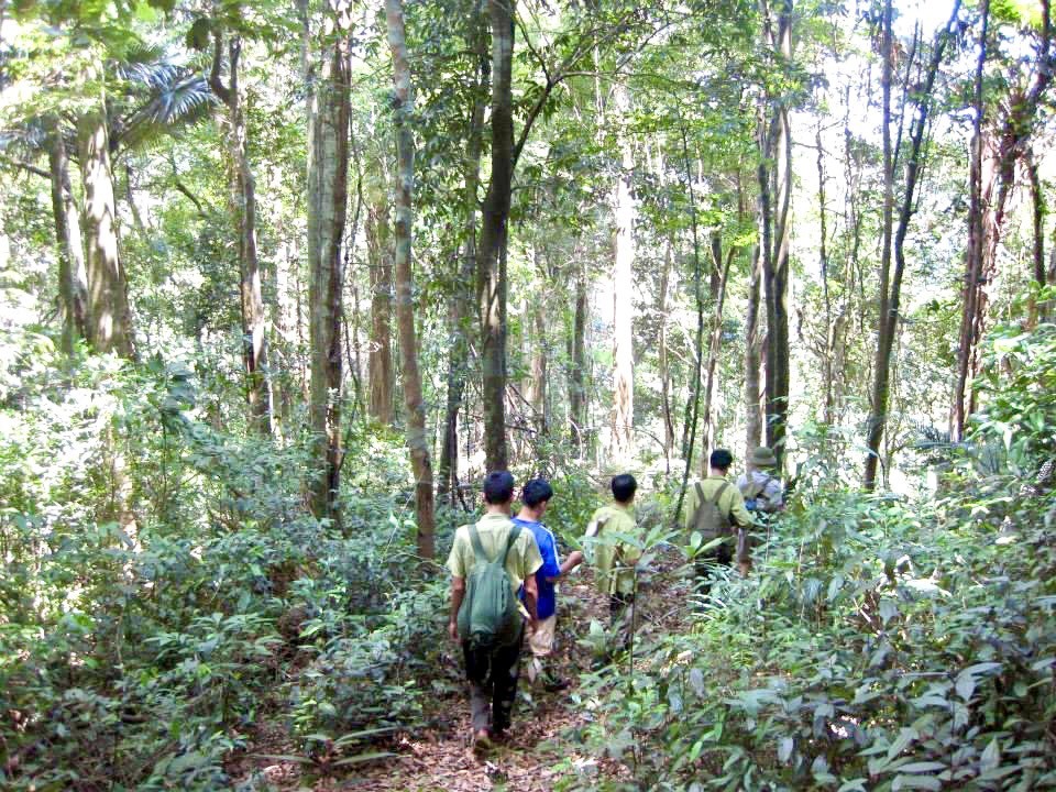 Hà Tĩnh chủ động triển khai đồng bộ các giải pháp phòng cháy, chữa cháy rừng