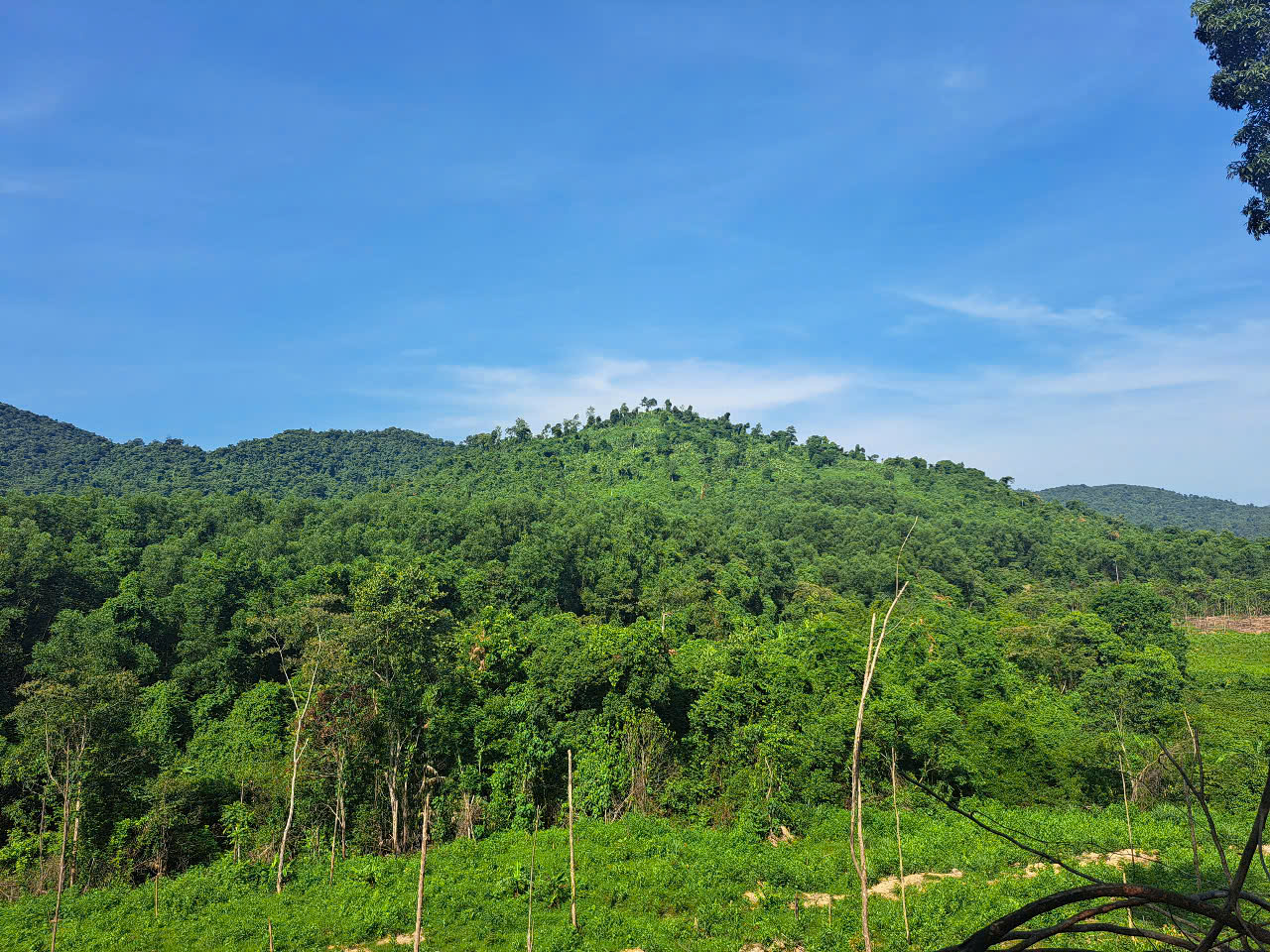 Hà Tĩnh đang tập trung chỉ đạo, thực hiện Điều tra xác định hiện trạng rừng tỉnh Hà Tĩnh 2025 – 2026