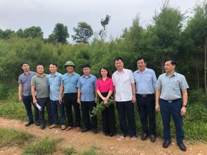 Phát triển mô hình trồng cây Tràm trà, Tràm năm gân để làm tinh dầu tạo ra nhiều triển vọng mới tại tỉnh Hà Tĩnh