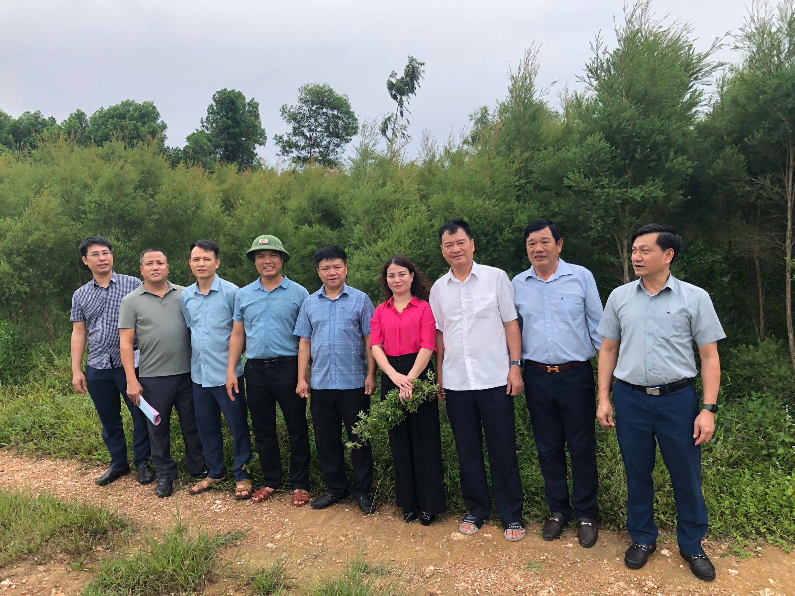 Phát triển mô hình trồng cây Tràm trà, Tràm năm gân để làm tinh dầu tạo ra nhiều triển vọng mới tại tỉnh Hà Tĩnh