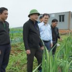 Nông nghiệp đa tầng – hướng đi mới nâng cao giá trị đất sản xuất