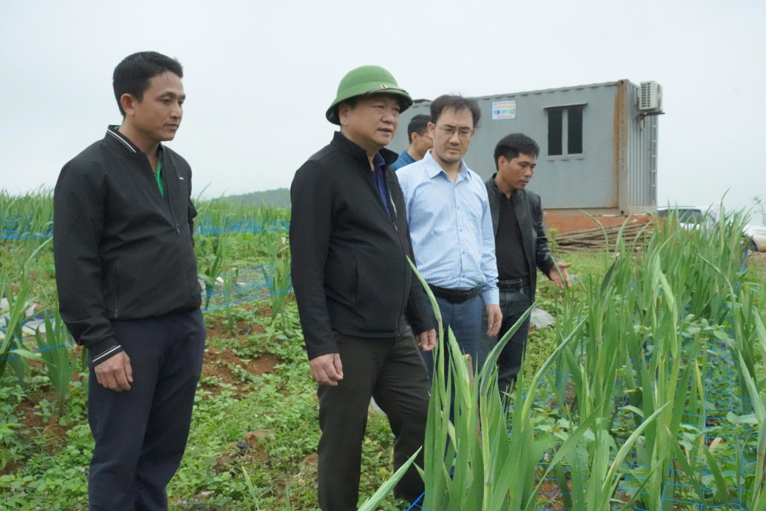 Nông nghiệp đa tầng – hướng đi mới nâng cao giá trị đất sản xuất