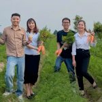 Xoay mùa trên cát: Nông dân Đồng Tiến thu nhập quanh năm