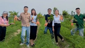 Xoay mùa trên cát: Nông dân Đồng Tiến thu nhập quanh năm