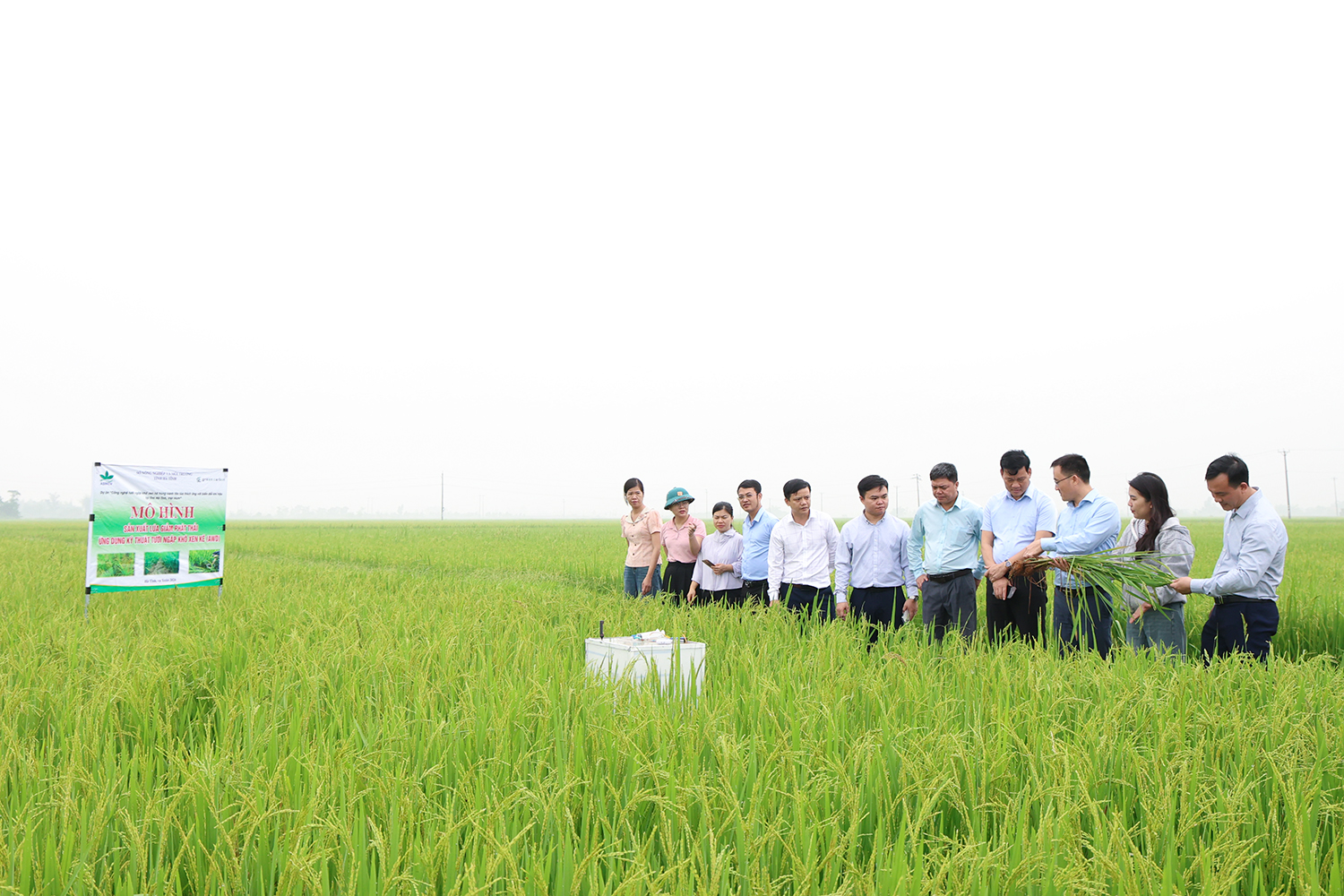 Hà Tĩnh mở rộng tưới ngập – khô xen kẽ, hướng tới sản xuất lúa giảm phát thải bền vững