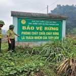 Cảnh báo nguy cơ cháy rừng cực kỳ nguy hiểm trong tháng 4/2026