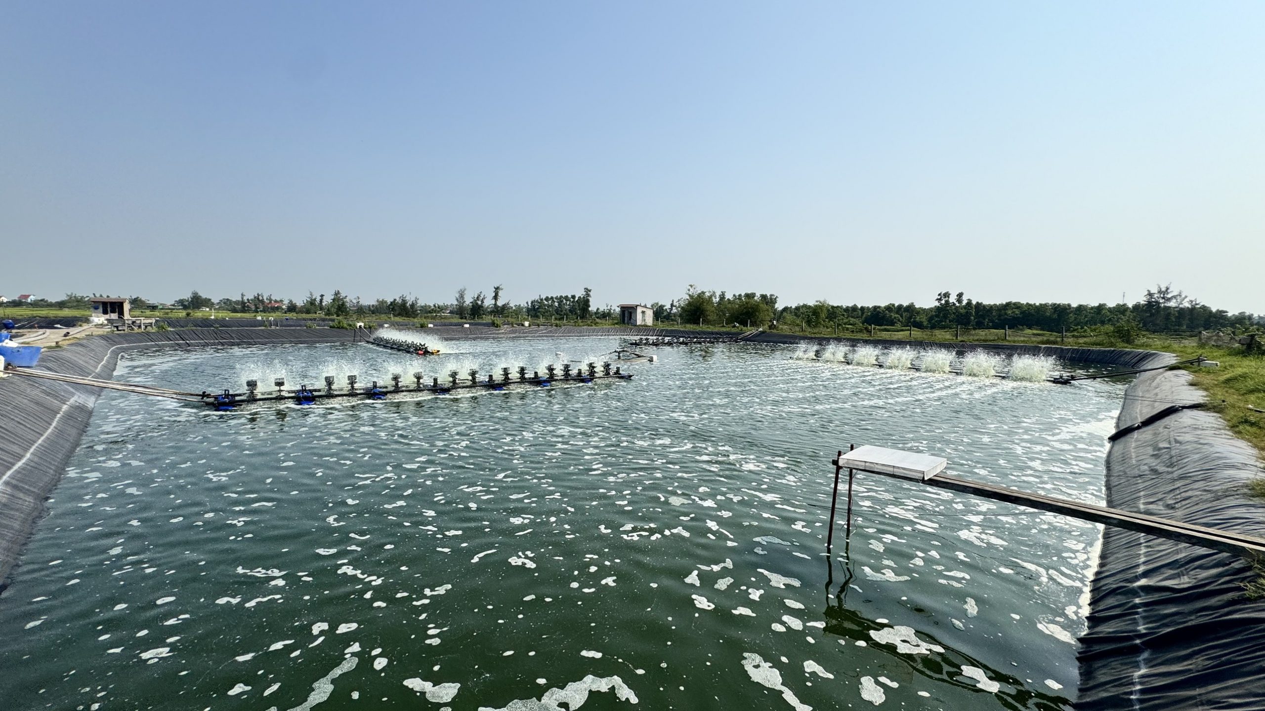 Chủ động từ đầu vụ, hướng tới thắng lợi nuôi trồng thủy sản xuân hè 2026