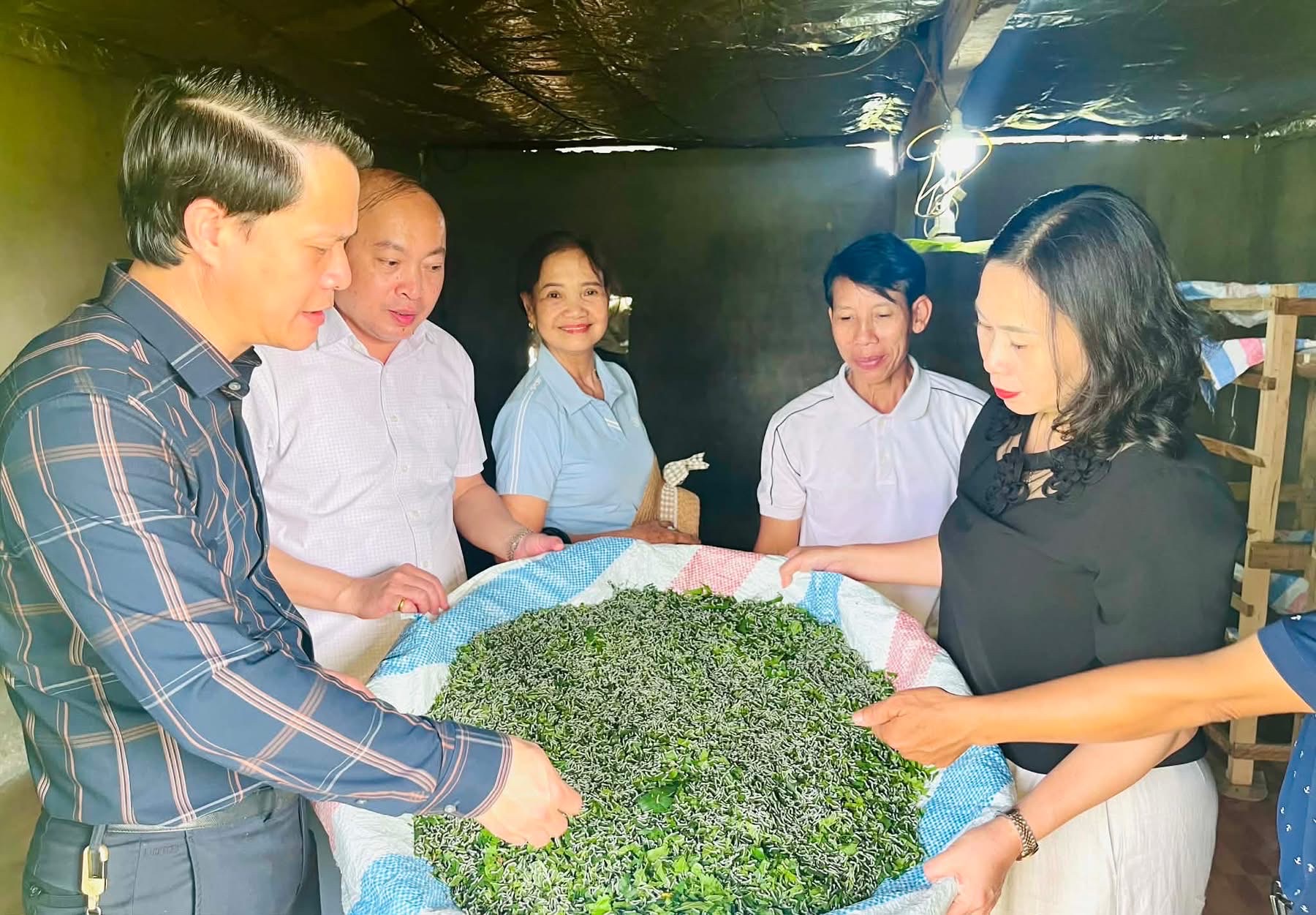 Hướng đi bền vững từ nghề trồng dâu, nuôi tằm ở Tân Tiến