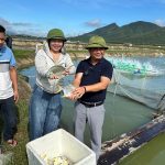 Khuyến nông Hà Tĩnh đồng hành phát triển thủy sản bền vững