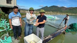 Khuyến nông Hà Tĩnh đồng hành phát triển thủy sản bền vững