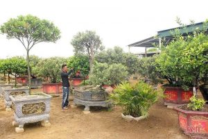 Đồng Tiến đẩy mạnh phát triển mô hình kinh tế, nâng cao thu nhập cho người dân