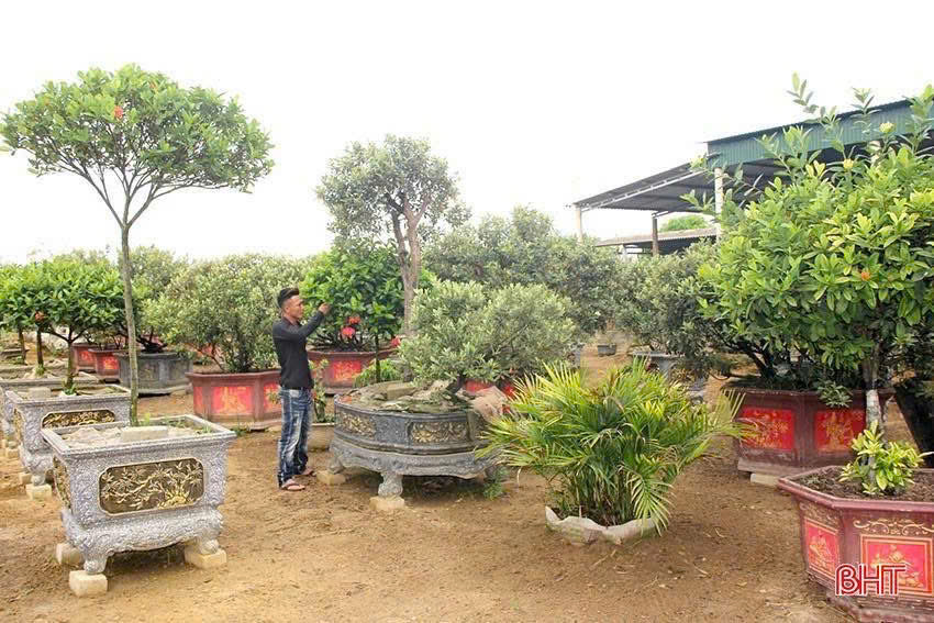 Đồng Tiến đẩy mạnh phát triển mô hình kinh tế, nâng cao thu nhập cho người dân