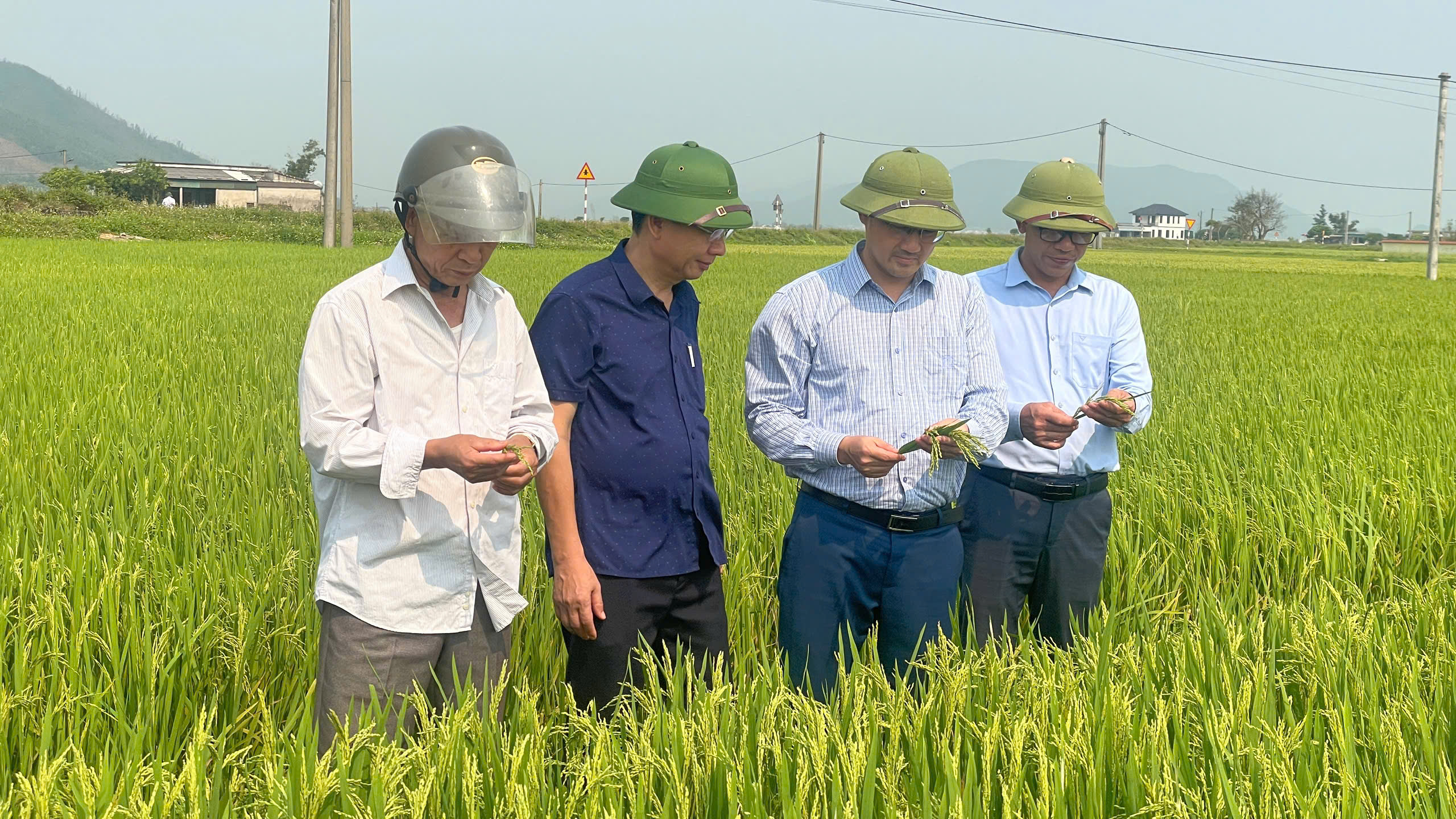 Hà Tĩnh chủ động chống hạn, bảo vệ sản xuất vụ Xuân 2026