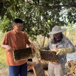 Nuôi ong nội – hướng đi bền vững từ lợi thế vườn đồi Hà Tĩnh