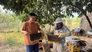 Nuôi ong nội – hướng đi bền vững từ lợi thế vườn đồi Hà Tĩnh