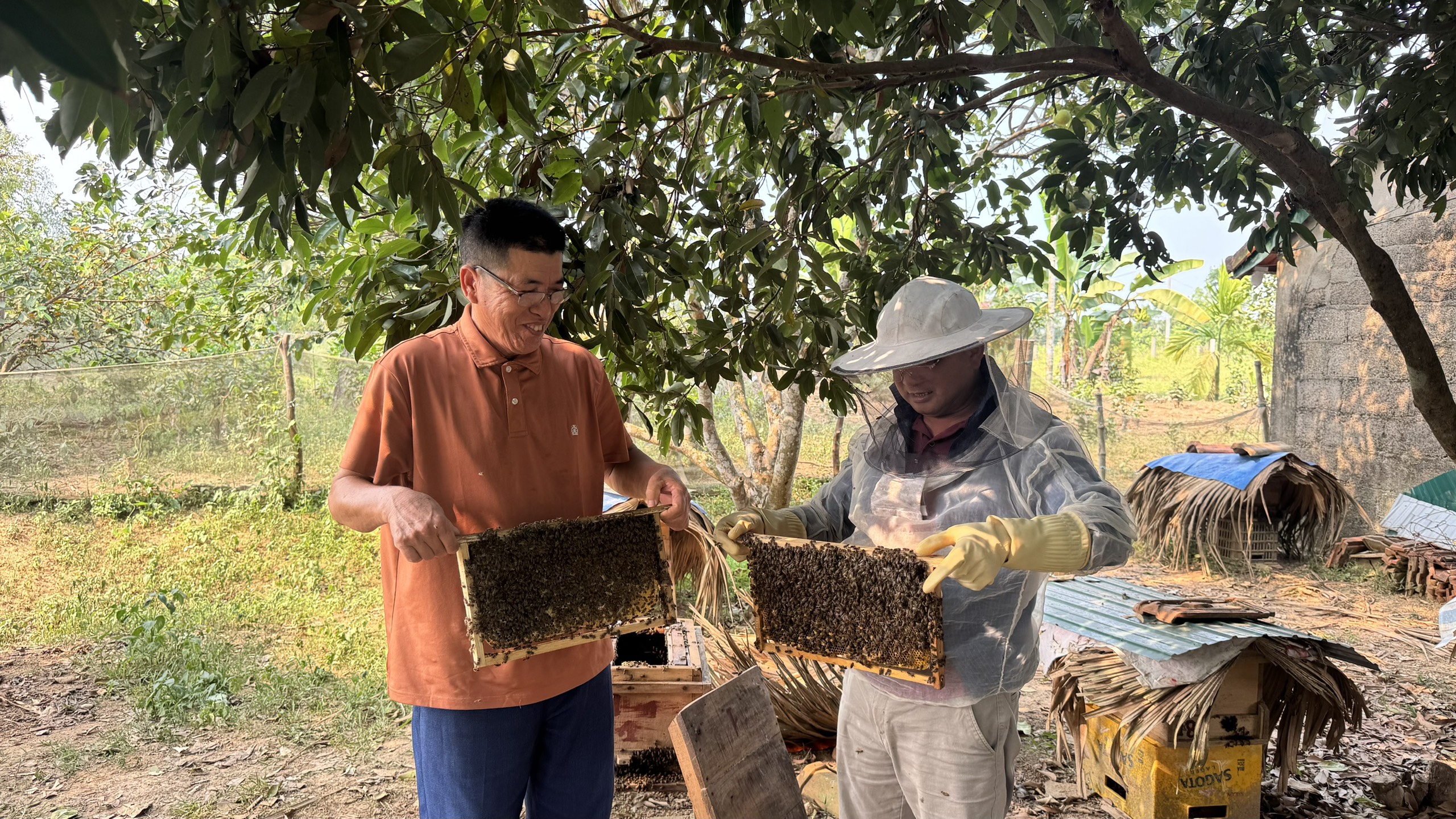 Nuôi ong nội – hướng đi bền vững từ lợi thế vườn đồi Hà Tĩnh