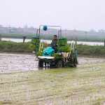 Hà Tĩnh ban hành Đề án sản xuất trồng trọt vụ Hè Thu 2026 – Chủ động, thích ứng, hiệu quả cao