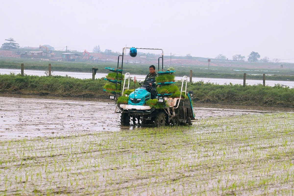 Hà Tĩnh ban hành Đề án sản xuất trồng trọt vụ Hè Thu 2026 – Chủ động, thích ứng, hiệu quả cao