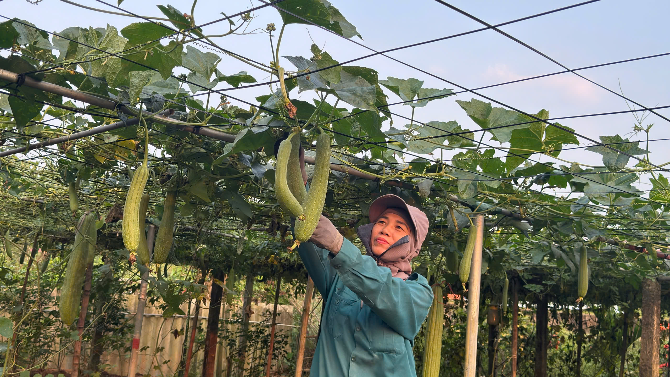 Khi vườn mẫu không chỉ là sắc xanh