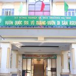 Vượt khó giữ rừng Vườn Quốc gia Vũ Quang – Vườn Di sản ASEAN