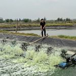 Từ đất khó đến mô hình kinh tế tổng hợp hiệu quả tại Đan Hải