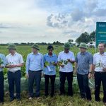 Khai thác tối đa tiềm năng, lợi thế, đa giá trị trong phát triển sản xuất  nông nghiệp Hà Tĩnh trên các lĩnh vực, sản phẩm chủ lực