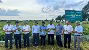 Khai thác tối đa tiềm năng, lợi thế, đa giá trị trong phát triển sản xuất  nông nghiệp Hà Tĩnh trên các lĩnh vực, sản phẩm chủ lực