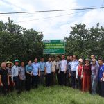 Nhân rộng mô hình cam hữu cơ, mở hướng phát triển bền vững cho vùng cam Hà Tĩnh