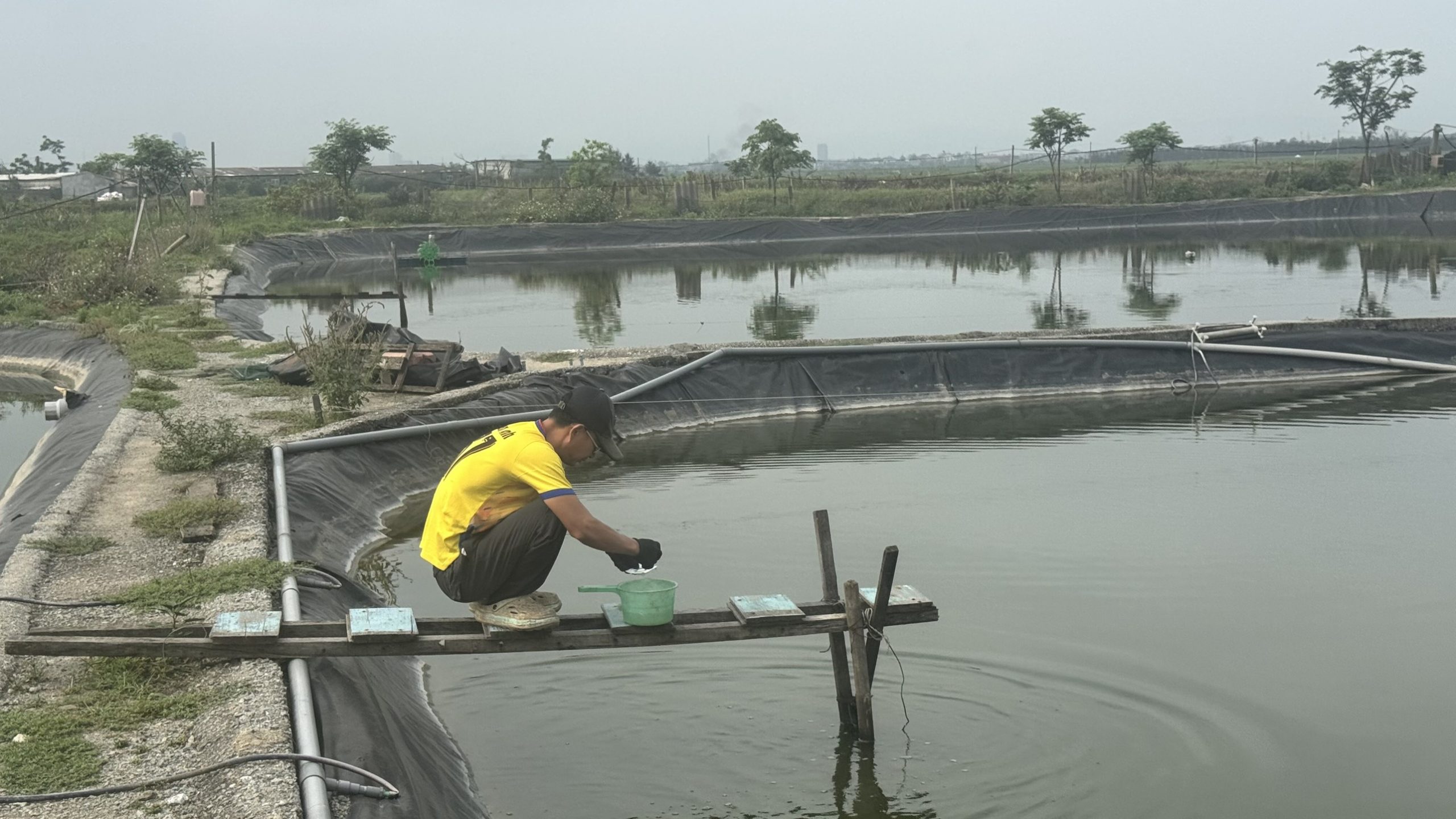 Người nuôi tôm Hà Tĩnh siết chặt quản lý ao nuôi trong thời điểm giao mùa