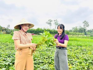 Hiệu quả bước đầu từ mô hình trồng đậu tương rau tại xã Sơn Giang